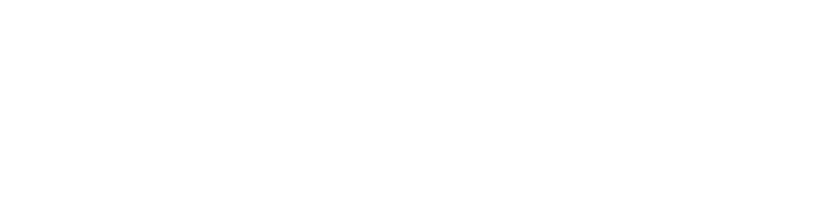 "Chromeservis Logo"