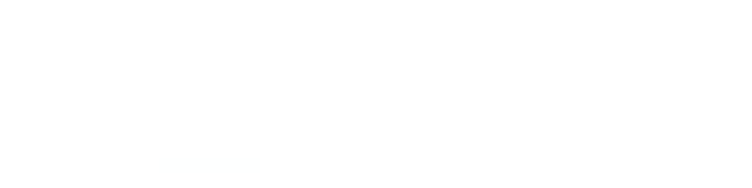 "Fortis Technologies Logo"