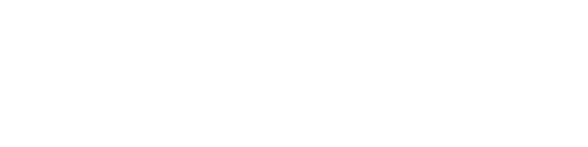 "LS Instruments Logo"