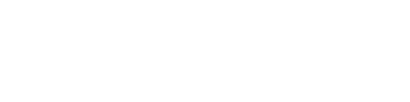 "MS perfomance Max Logo"