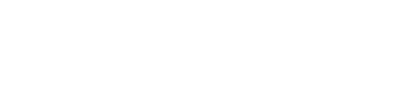 "Setonic Logo"