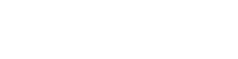 "n Tox Logo"