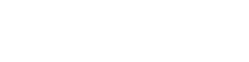 "Bruker Logo"